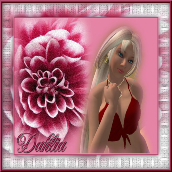 Dahlia Trimble profile image