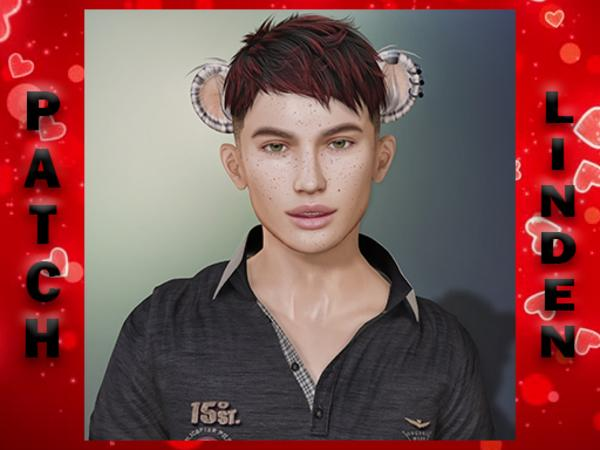 Patch Linden profile image