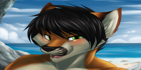 Simon Lameth profile image